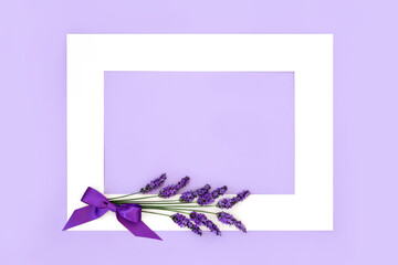 Lavender flower herb floral background border. Used in natural alternative herbal medicine and aromatherapy. Healthy adaptogen food decoration nature design on lilac.