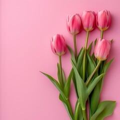 Fototapeta premium tulips background.