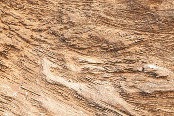 Background texture of limestone surface. Warm fossil rock texture.