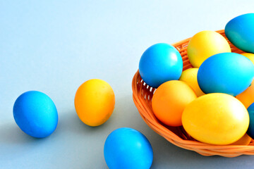 blue and yellow easter eggs in basket on blue background copy space