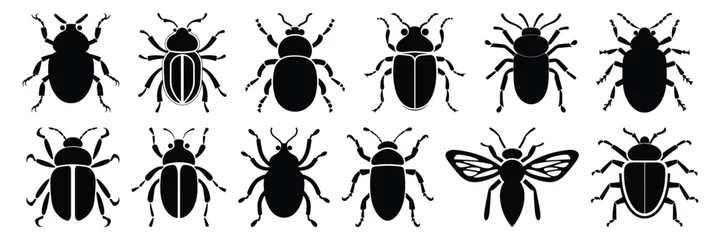 Fotobehang Insect bug icon silhouettes set, large pack of vector silhouette design, isolated white background © FutureFFX