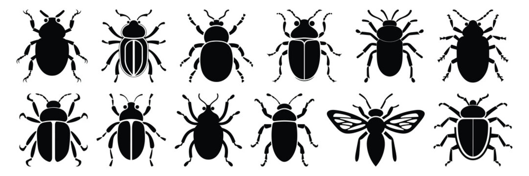 Insect bug icon silhouettes set, large pack of vector silhouette design, isolated white background
