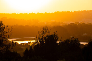 Beautiful tree branch and sunset layer of hills.