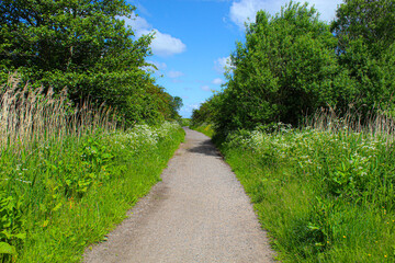 A beautiful landscape shot of the British Countryside on a hot summer afternoon