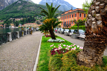 Menaggio, province Como, Lombardy, northern Italy, western shore of Lake Como, lake shore promenade in city center - obrazy, fototapety, plakaty