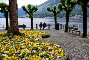 Bellagio, Province Como,  Lombardy, Lake Como, Italy, Europe - Beautiful holiday resort on Como...