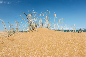 Small sand dune on the coastline against the background of the sky and sea. Blades of grass are growing.