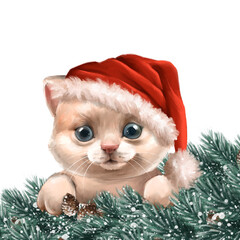 Cute kitten in Santa hat. Christmas illustration with fir branches and cat - 754241162