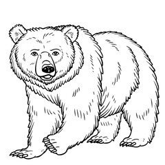 A drawing of a bear showing the full body in one-line style, vector on white background