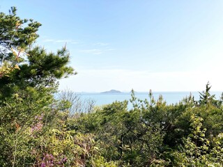 Fototapeta na wymiar しまなみ海道の風景