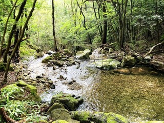 野山の風景写真
