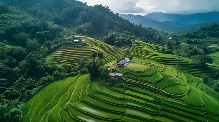 Fotobehang Rice Fields at Chiang Mai, Thailand  © Ziyan Yang
