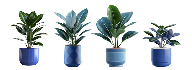 Fototapeta na wymiar Collection Exotic plants in a blue pot . Isolated on a transparent background. PNG cutout or clipping path. 