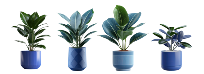 Collection Exotic plants in a blue pot . Isolated on a transparent background. PNG cutout or clipping path.	
