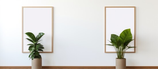 A couple of planters, one with palm leaves and the other with a green leaf plant, sit on top of a wooden floor in a room with a white gallery wall.