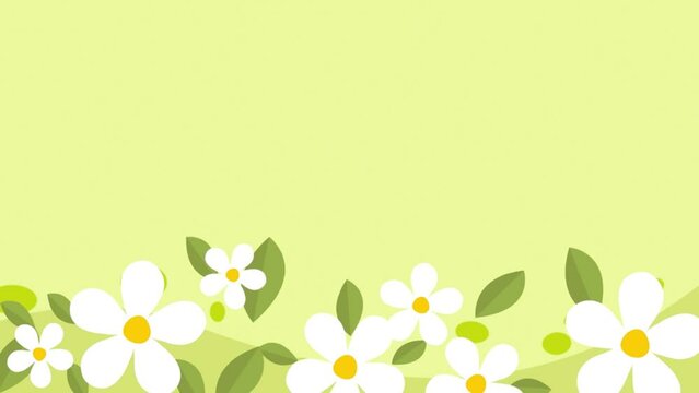 An image of white flowers moving beneath a green background.