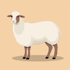 cute sheep vector flat illust...