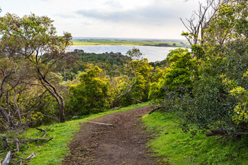 Obraz premium Tranquil Pathway Around Tower Hill’s Ancient Crater, Australia