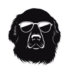 Golden retriever Silhouette 