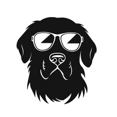 Golden retriever Silhouette 