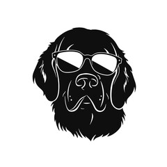 Golden retriever Silhouette 