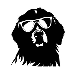 Golden retriever Silhouette 