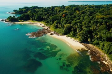 Aerial view of a beach and forest, perfect for travel and nature concepts
