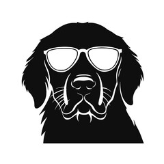 Golden retriever dog