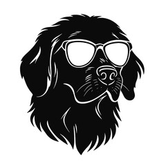 Golden retriever dog