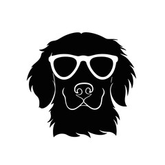 Golden retriever dog