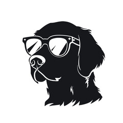 Golden retriever dog 