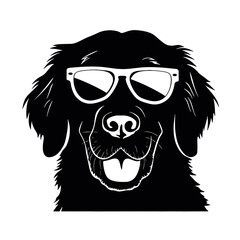 Golden retriever dog, 