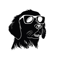 Golden retriever dog, 