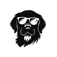 Golden retriever dog, 