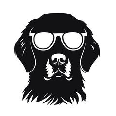 Golden retriever eyeglasses