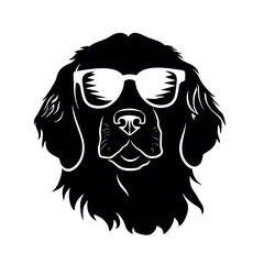 Golden retriever eyeglasses