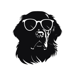 Fototapeta premium Golden retriever eyeglasses