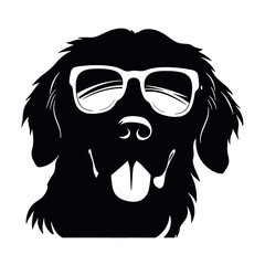 Golden retriever eyeglasses