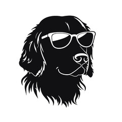 Golden retriever eyeglasses