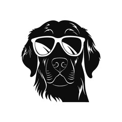 Golden retriever eyeglasses