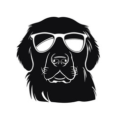 Golden retriever eyeglasses