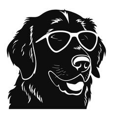 Golden Retriever with sunglasses
