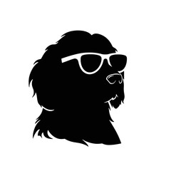 Golden Retriever with sunglasses