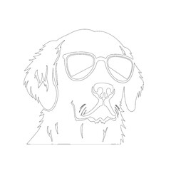 Golden Retriever with sunglasses