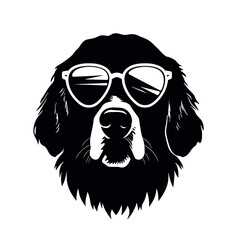 Golden Retriever with sunglasses