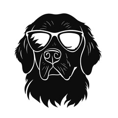 Golden Retriever with sunglasses