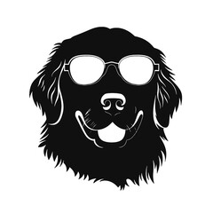 Golden Retriever with sunglasses