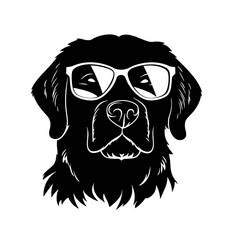 Golden Retriever with sunglasses