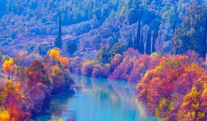 Foto op Canvas Colorful majestic Goksu river in national park with autumn forest - Mersin, Turkey © muratart