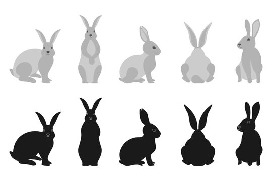 rabbit or bunny vector set. different rabbits for design use. vector illustration isolated on white background.